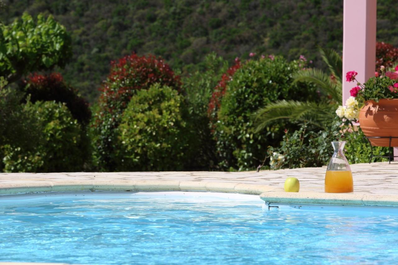 Pantheon & Danae Luxury Villas Sivota Zewnętrze zdjęcie
